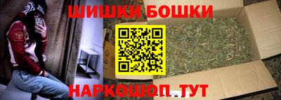 стаф Заводоуковск