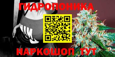стаф Заводоуковск