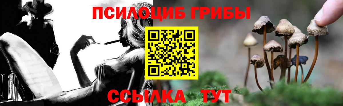 Псилоцибиновые грибы Magic Shrooms  Вход с VPN  Курчалой 