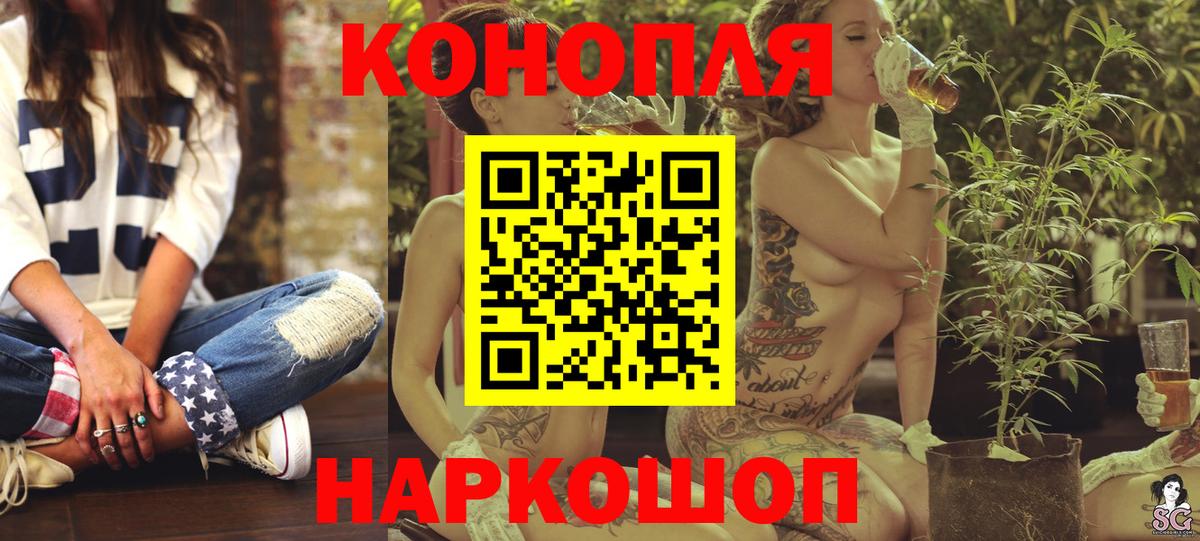 Бошки марихуана конопля Курчалой